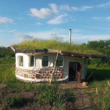 Сказочный Дом Villa Buki  Eksteriør billede